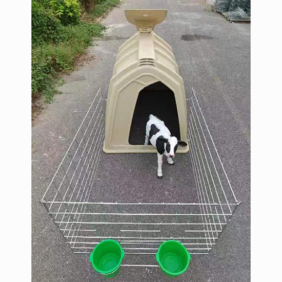 犊牛岛
